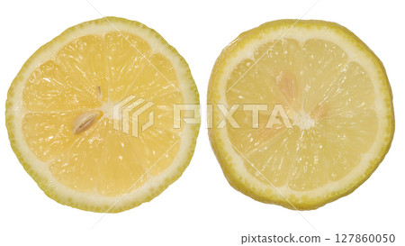 Round lemon slices with juicy pulp on isolated background 127860050