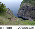 Cape Puyani 127860386
