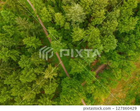 A top-down aerial view of a lush green forest with winding dirt paths cutting through dense trees, capturing the peaceful beauty of nature from above. A top-down aerial view of a lush green forest with winding dirt paths cutting through dense trees, capturing the peaceful beauty of nature from above. 127860429