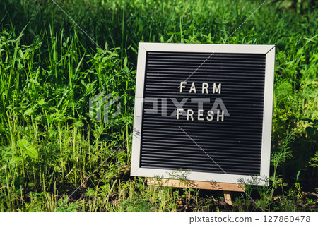 Letter board with text FARM FRESH on background of garden bed with green herb dill. Organic farming, produce local vegetables concept. Supporting local farmers 127860478