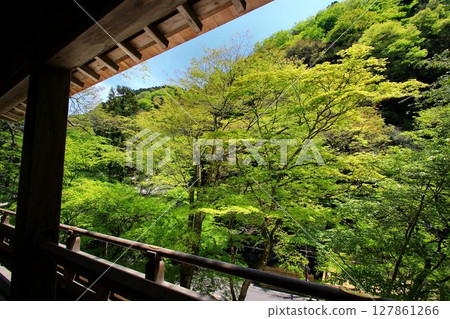 位於京都鴨川源頭貴船川沿岸的貴船神社,綠意盎然 位於京都鴨川源頭貴船川沿岸的貴船神社,綠意盎然 127861266