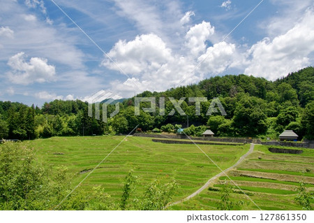 "Yokone Rice Field" one of Japan's 100 best rice terraces 127861350
