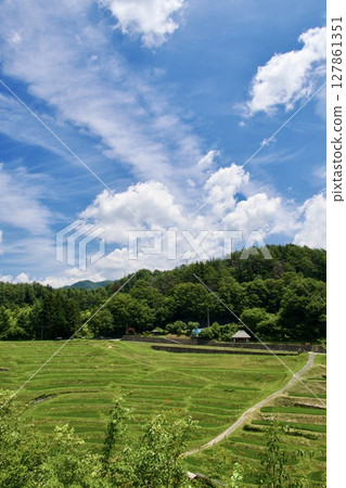 "Yokone Rice Field" one of Japan's 100 best rice terraces 127861351