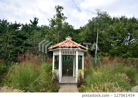 Seoul Forest large public park in Seongdong District in Seoul, capital of South Korea Seoul Forest large public park in Seongdong District in Seoul, capital of South Korea 127861454