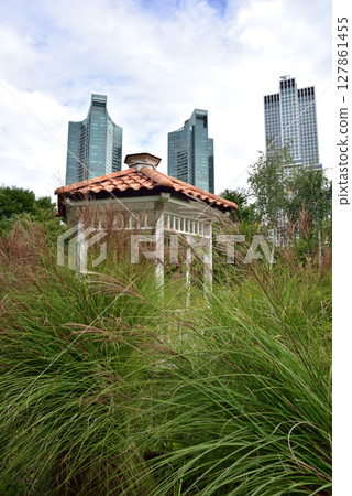 Seoul Forest large public park in Seongdong District in Seoul, capital of South Korea 127861455