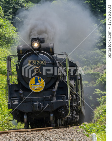 A steam locomotive running among the fresh greenery 127861633