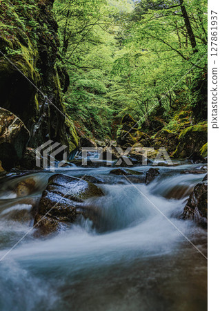 The clear stream of Nishizawa Valley surrounded by greenery 127861937