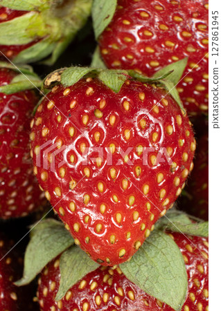 Juicy Strawberries Close-Up. Vibrant Red Berry Texture for Design. 127861945