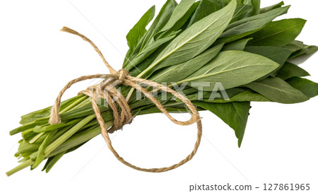 fresh rosemary isolated on white fresh rosemary isolated on white 127861965