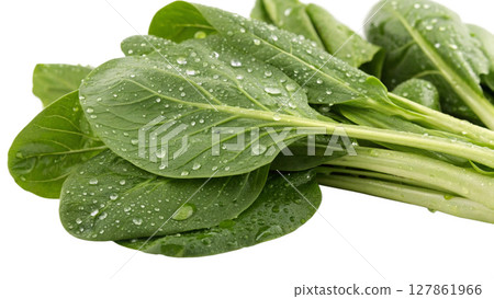 fresh spinach on white fresh spinach on white 127861966
