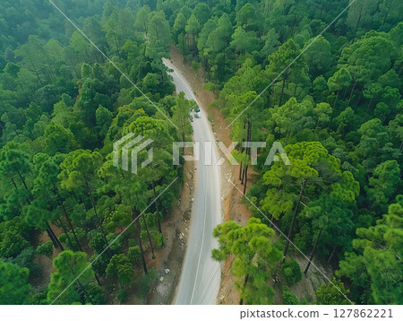 Top view forest road going through forest. Ecosystem ecology healthy environment road trip travel. AI Generated. 127862221