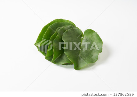 Okawakame 圖像 127862589