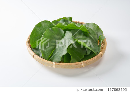 Okawakame image 127862593