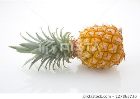 菠蘿 菠蘿 127863730