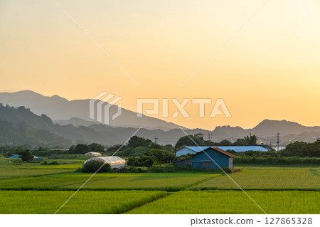 鄉村的夏日黃昏 鄉村的夏日黃昏 127865328