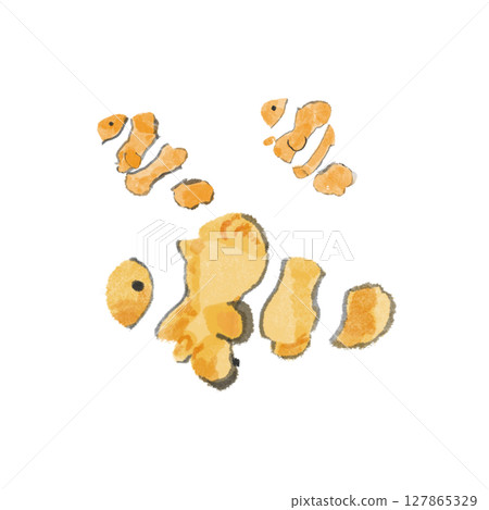 小丑魚插圖 - 透明 PNG 小丑魚插圖 - Tra 127865329