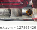 tail light of sedan body car. broken plastic lens, closeup on light bulbs 127865426