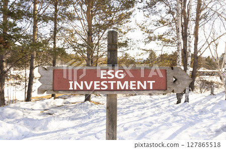 ESG environmental social governance investment symbol. Concept words ESG investment on beautiful wooden road sign. Beautiful forest snow sky background. Business ESG investment concept. Copy space. 127865518