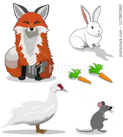 Vector set of cartoon animal characters. Orange fox, white rabbit, gray mouse, muscovy duck and a Vector set of cartoon animal characters. Orange fox, white rabbit, gray mouse, muscovy duck and a 127865860