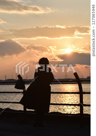 Watching the migratory birds fly by at dusk on the Fujimae tidal flats 127865946