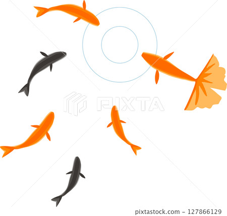 金魚聚集在水面上的水彩插圖 127866129