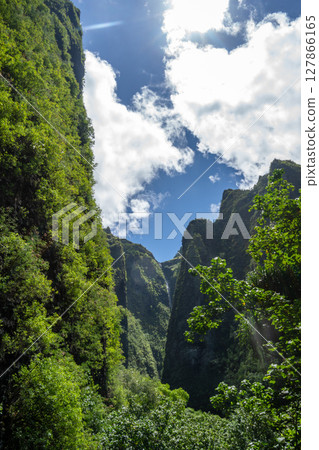 Vaipo waterfall in Hakaui valley, Nuku Hiva, French Polynesia wild nature Vaipo waterfall in Hakaui valley, Nuku Hiva, French Polynesia wild nature 127866165