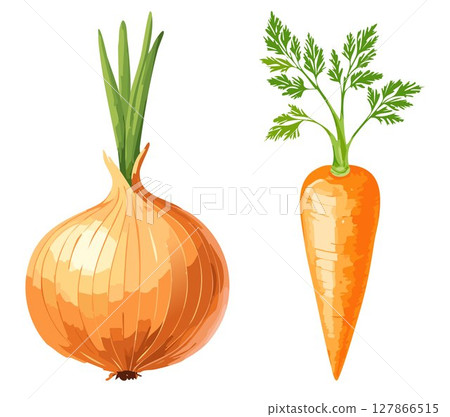 Onion and carrot watercolor illustration [vector material] 127866515