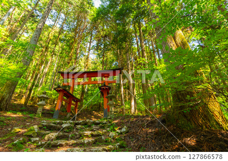 A shrine in the forest with stone steps leading up to it: Himuro Shrine, Fujikawa Town, Yamanashi Prefecture 127866578