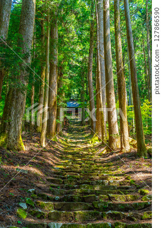 Himuro Shrine, Fujikawa Town, Yamanashi Prefecture Himuro Shrine, Fujikawa Town, Yamanashi Prefecture 127866590