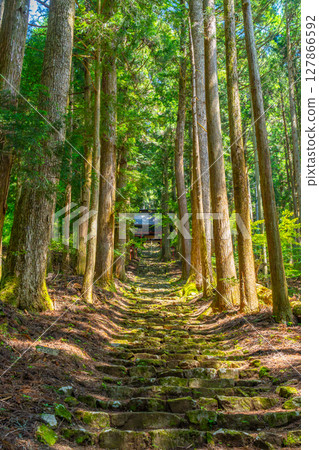 山梨縣富士川町冰室神社 127866592