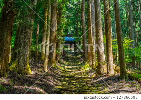 山梨縣富士川町冰室神社 127866593
