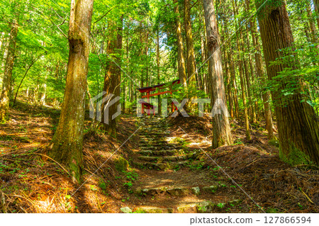 Himuro Shrine, Fujikawa Town, Yamanashi Prefecture Himuro Shrine, Fujikawa Town, Yamanashi Prefecture 127866594
