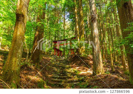 山梨縣富士川町冰室神社 山梨縣富士川町冰室神社 127866596