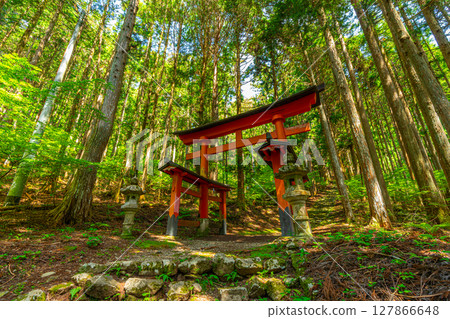 Himuro Shrine, a sacred shrine in the forest, is reached by climbing 570 stone steps in Fujikawa Town, Yamanashi Prefecture. Himuro Shrine, a sacred shrine in the forest, is reached by climbing 570 stone steps in Fujikawa Town, Yamanashi Prefecture. 127866648
