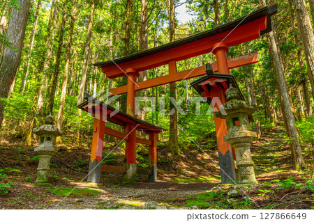 Himuro Shrine, a sacred shrine in the forest, can be reached by climbing 570 stone steps in Fujikawa, Yamanashi Prefecture Himuro Shrine, a sacred shrine in the forest, can be reached by climbing 570 stone steps in Fujikawa, Yamanashi Prefecture 127866649