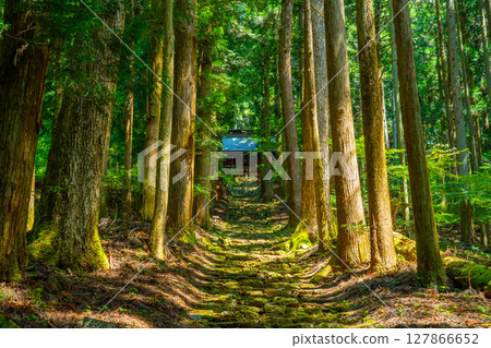 山梨縣藤川町的冰室神社是一座位於森林中的神聖神社，需要攀登 570 級石階才能到達 127866652
