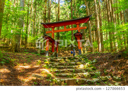 山梨縣藤川町的冰室神社是一座位於森林中的神聖神社,需要攀登 570 級石階才能到達 山梨縣藤川町的冰室神社是一座位於森林中的神聖神社,需要攀登 570 級石階才能到達 127866653