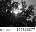 Green textured background glowing in the dark 127866877