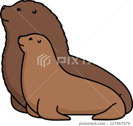 Male and female sea lion cartoon drawing 127867079