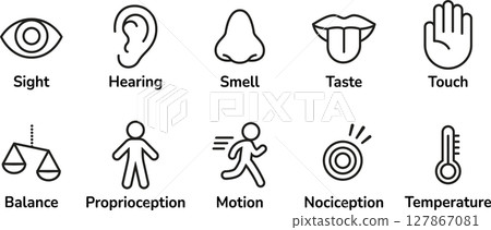 Human senses icon set 127867081