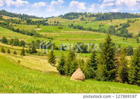 rural mountain landscape in summer. haystack on green hill near village. alpine scenery at the foot of borzhava ridge of ukraine in afternoon light rural mountain landscape in summer. haystack on green hill near village. alpine scenery at the foot of borzhava ridge of ukraine in afternoon light 127869197
