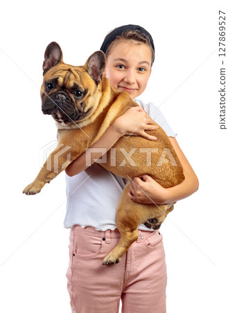 A girl holds a funny French bulldog in her arms. 127869527