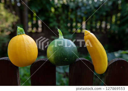fresh vegetables. one yellow round, one yellow long and one green round zucchini. 127869553