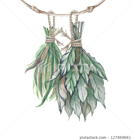 Two bunches of grass are drying on a rope. Watercolor illustration of suspended dry grass on a white background. Witchcraft. Gardening, Esotericism. Aromatherapy. Clipart. 127869661