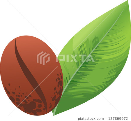 A coffee bean next to one green leaf. A coffee bean next to one green leaf. 127869972