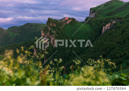 Twilight view of green mountains and cliffs with wildflowers in the foreground under a colorful sky 127870364