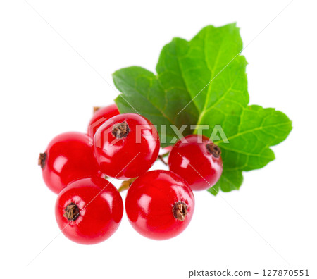 Red currant isolated on white background. Redcurrant or Ribes rubrum ripe berries with green leaves. Red currant isolated on white background. Redcurrant or Ribes rubrum ripe berries with green leaves. 127870551