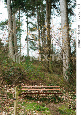 Peaceful forest retreat with a wooden bench amidst lush greenery, inviting moments of reflection and nature appreciation on a calm day 127870581