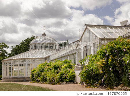 Victorian architecture of the Conservatory at Chiswick House and gardens. 127870965