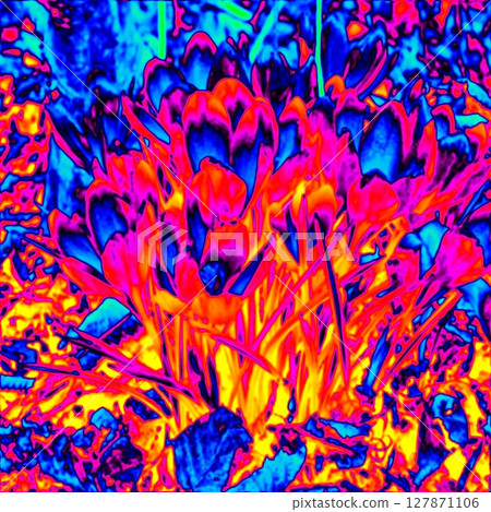 Blossomig flowers. Thermal photography Blossomig flowers. Thermal photography 127871106